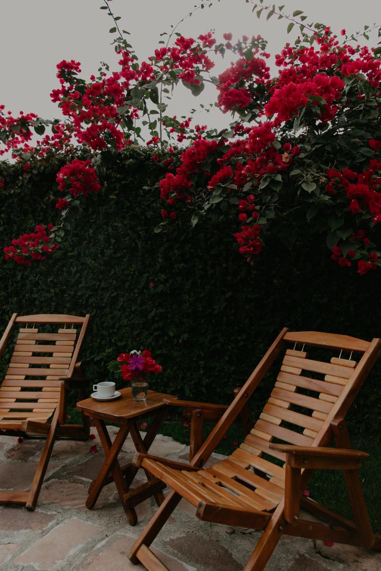 Pousada Primavera Hotel Mucugê Екстериор снимка
